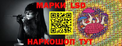 PSILOCYBIN Кулебаки